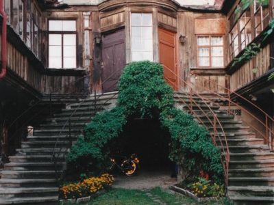 Bestand-auen-01-400x600