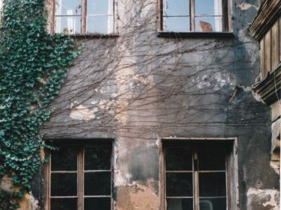 Bestand-auen-02-400x600